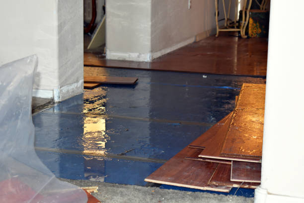 Professional Storm Water Damage Restoration technician working in Conway, PA